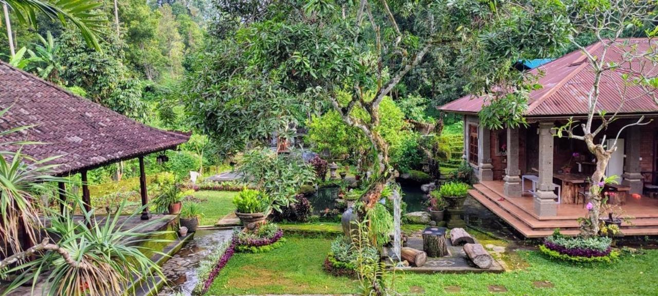 Mesari Cottage Guest House بوليلينغْ المظهر الخارجي الصورة