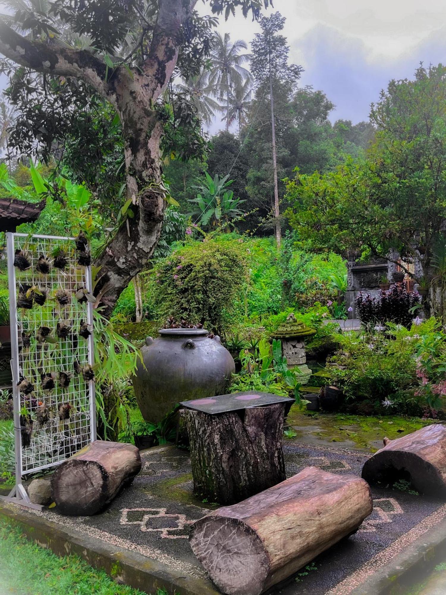 Mesari Cottage Guest House بوليلينغْ المظهر الخارجي الصورة