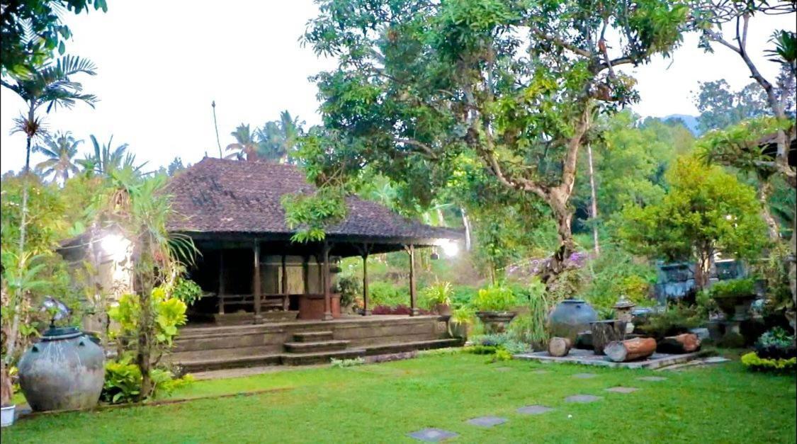 Mesari Cottage Guest House بوليلينغْ المظهر الخارجي الصورة