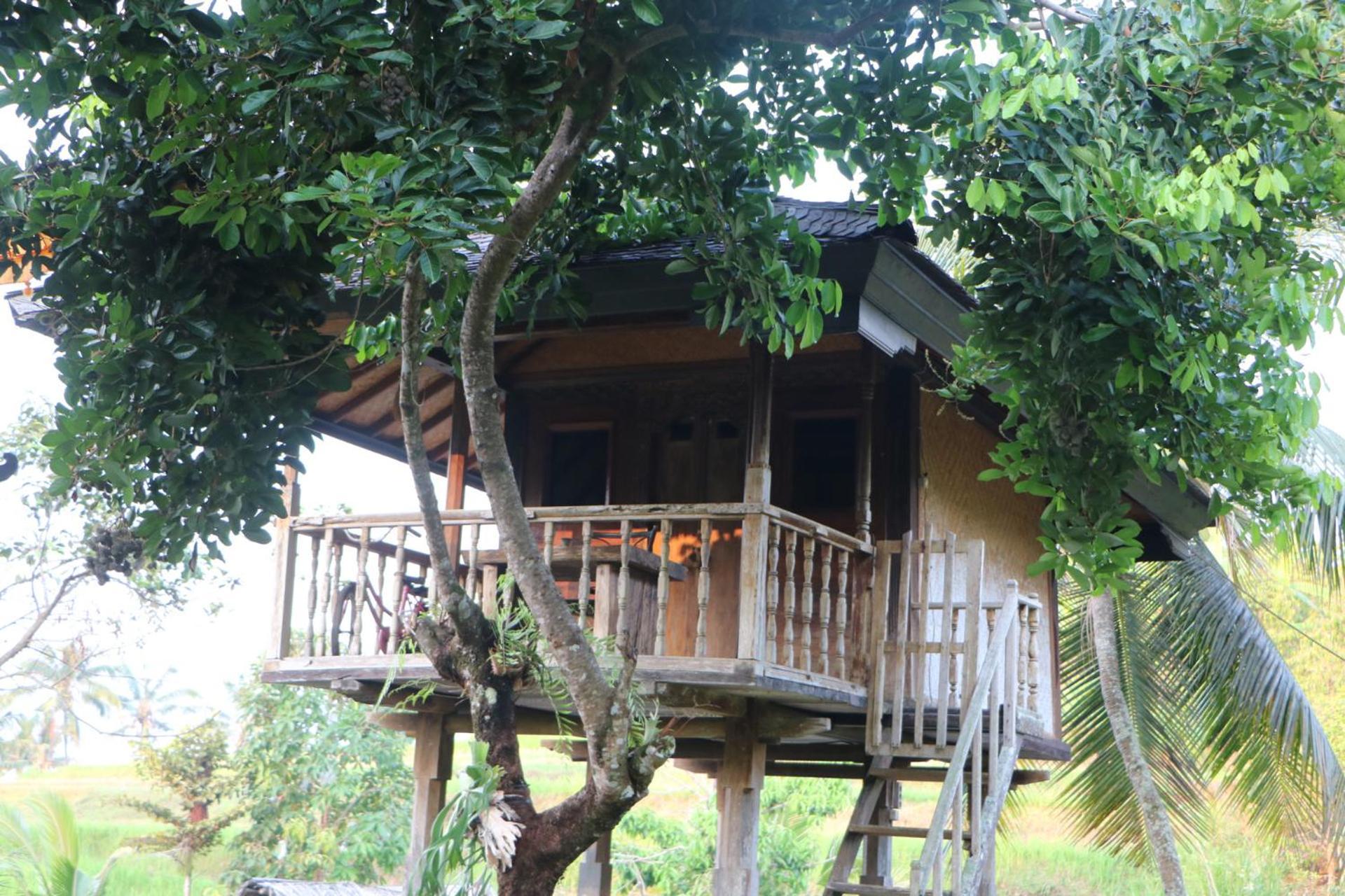 Mesari Cottage Guest House بوليلينغْ المظهر الخارجي الصورة