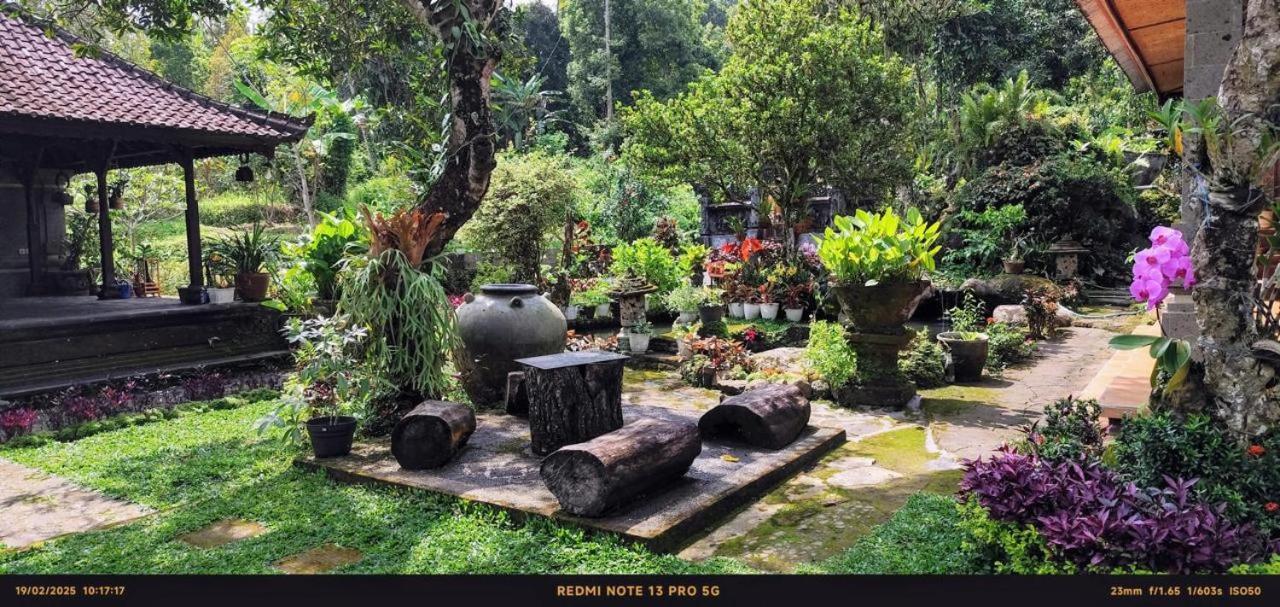 Mesari Cottage Guest House بوليلينغْ المظهر الخارجي الصورة